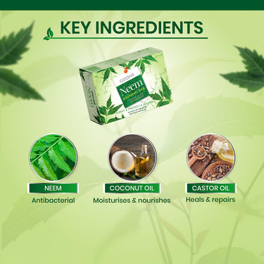 Ozone Neem Bathing Bar | Anti-Bacterial Soap for Acne & Rashes | Enriched with Neem, Coconut Oil & Castor Oil | Paraben-Free | 125g (Pack of 6)